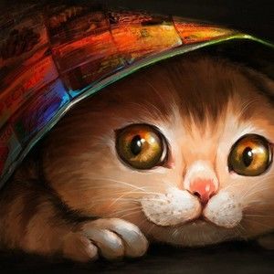 Meet your Posher, Quincy